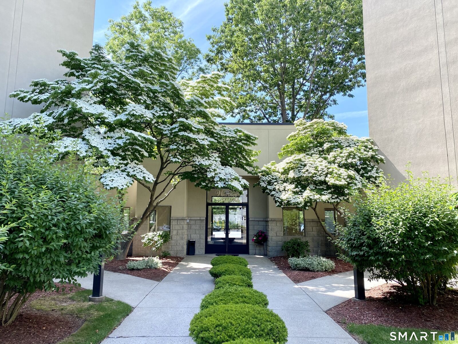 Property Photo:  1204 Whitney Avenue 208  CT 06517 