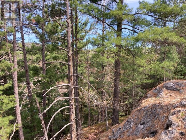 Property Photo:  00 Faraway  ON P5E 1P4 