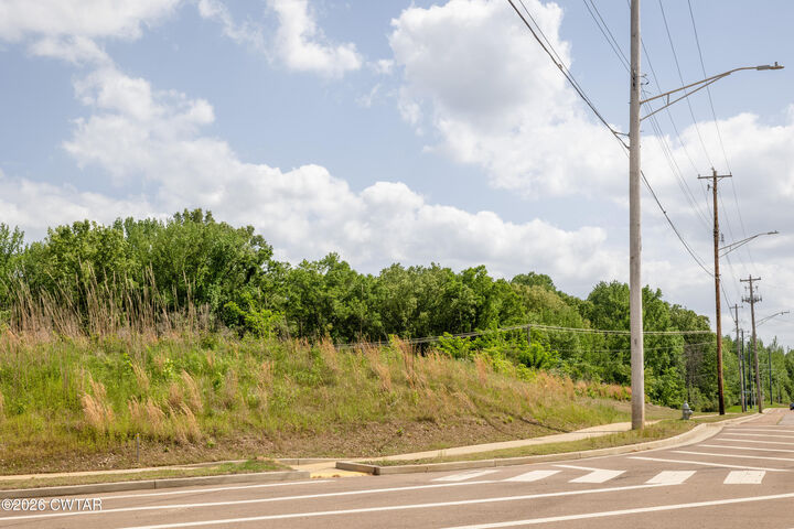 Property Photo:  0 Old Brownsville Road  TN 38002 