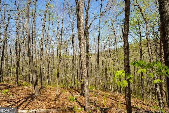 Property Photo:  0 Burnt Mountain Road  GA 30536 