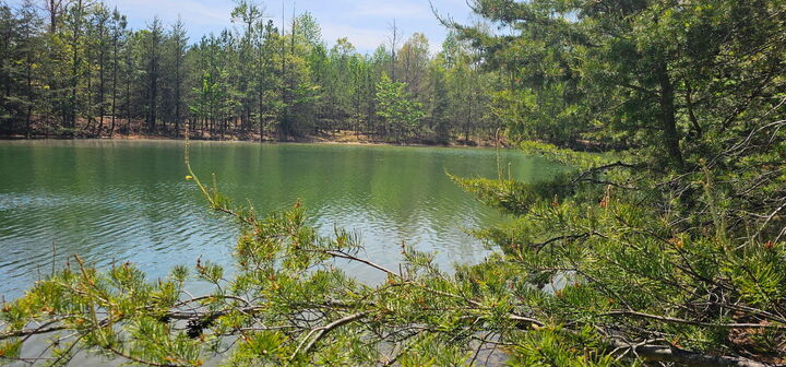 Property Photo: 100 Bluff View Drive TN 37327