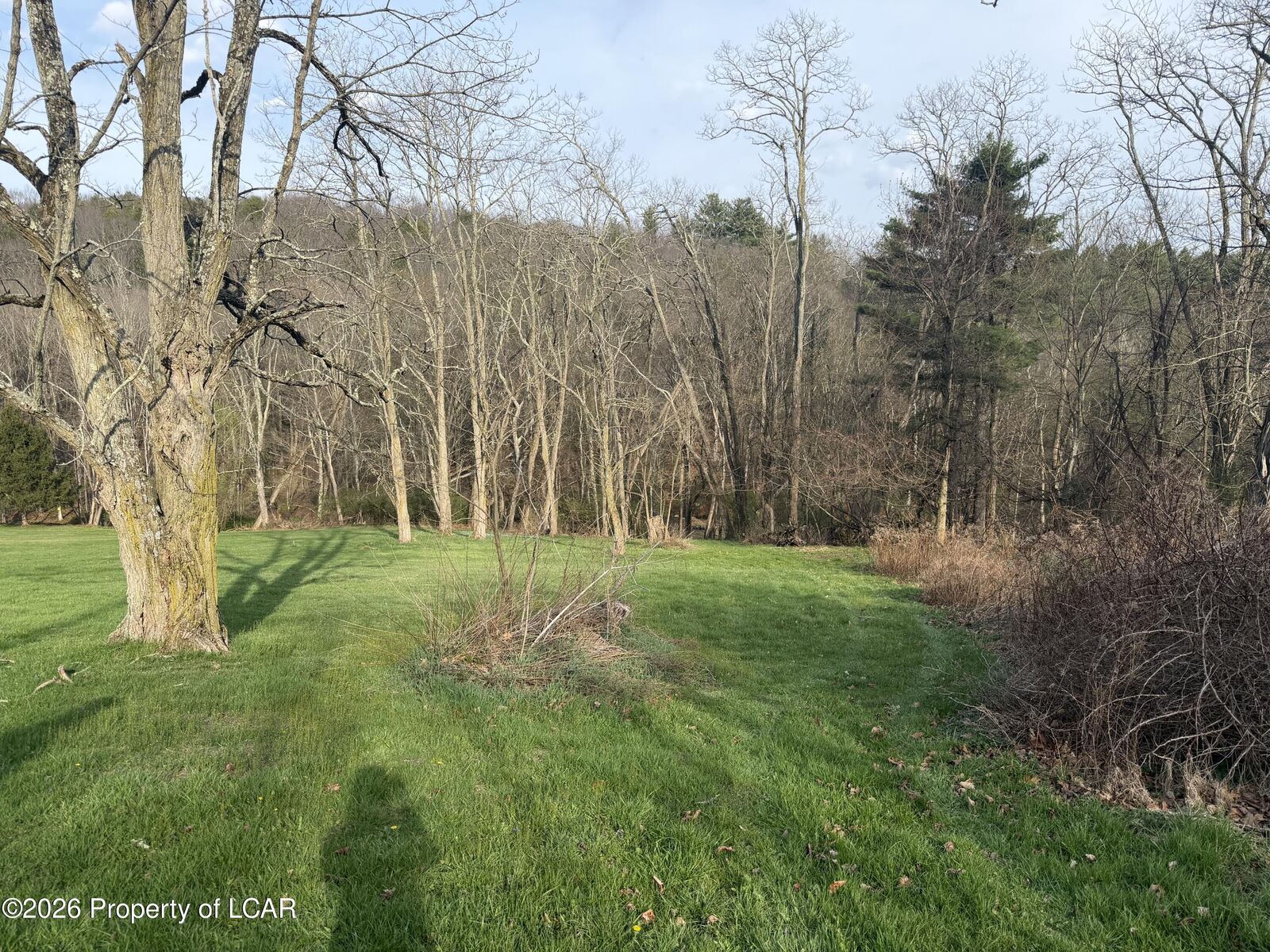 Property Photo:  139 Harris Hill Road  PA 18708 