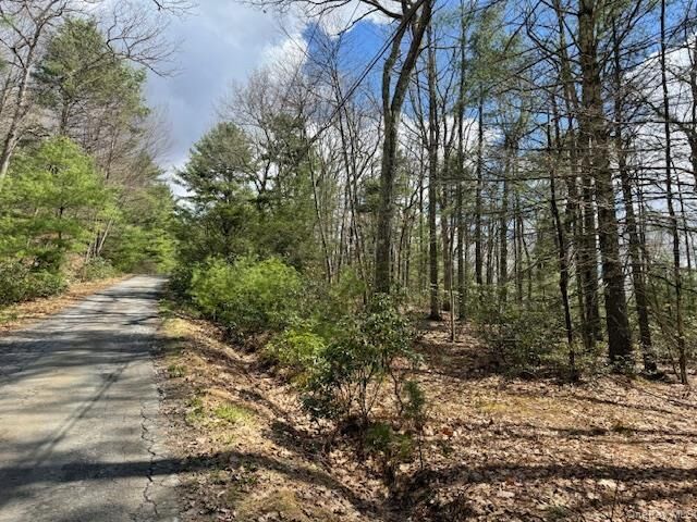 Property Photo:  Lot 73.6 Pine Road  NY 12737 