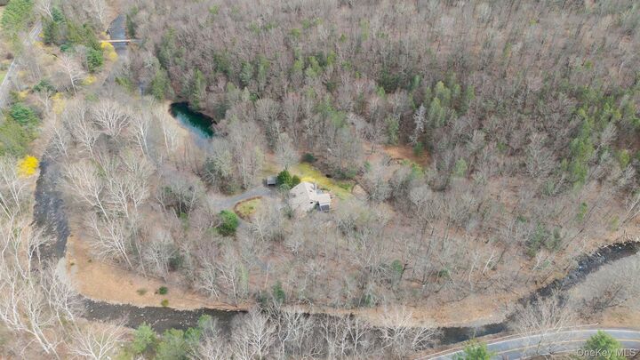 Property Photo:  269 Watson Hollow Road  NY 12494 