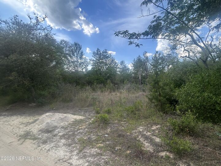 Property Photo:  0 NE 233rd Place  FL 32134 