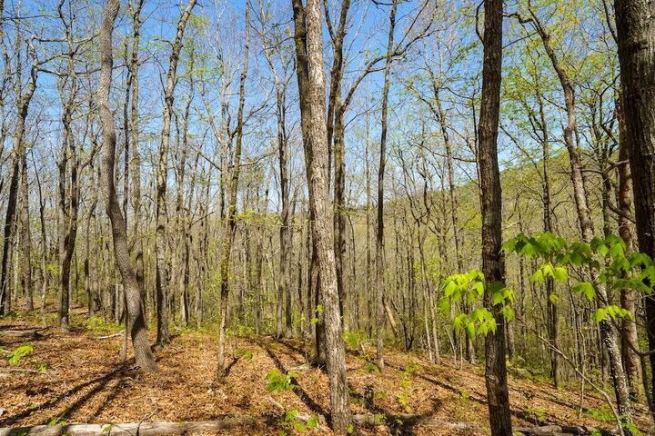Property Photo:  000 Burnt Mountain Road  GA 30536 