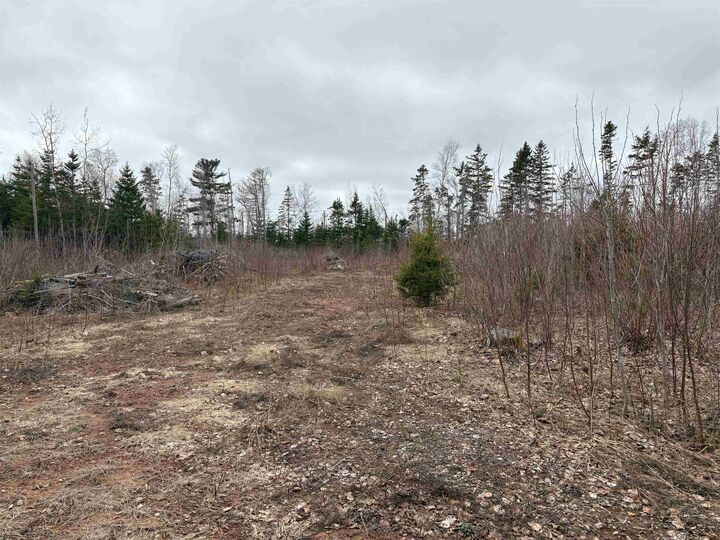Property Photo:  Lot Louis Road  PE C0A 1R0 