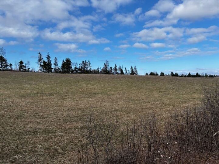 Photo de la propriété:  Acreage Winsloe Road  PE C1E 2T2 