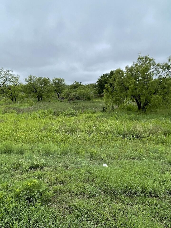 Property Photo:  533 Lake View Heroes Drive  TX 76903 
