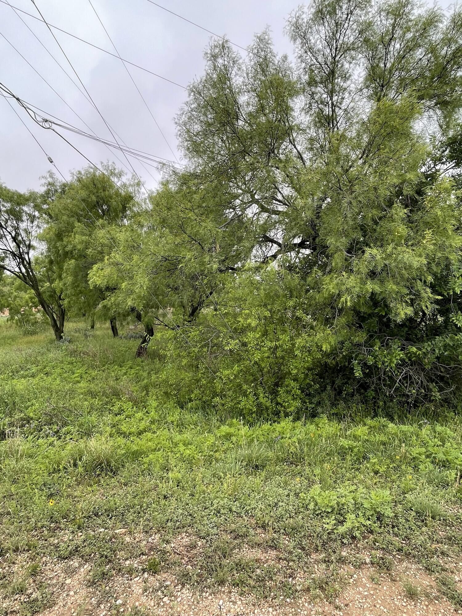 Property Photo:  509 Lake View Heroes Drive  TX 76903 
