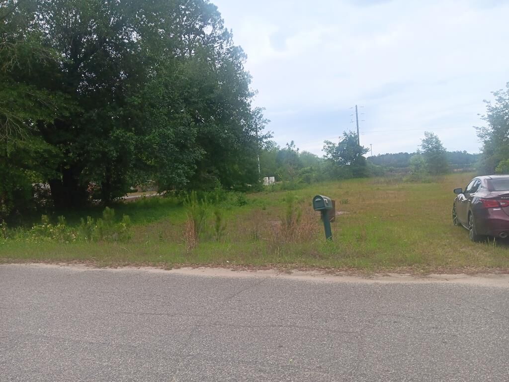 Property Photo: 2901 Worthy Street GA 31075