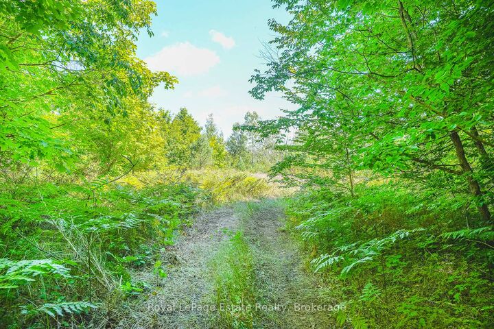 Lot 2 Sixth Street — photo 1