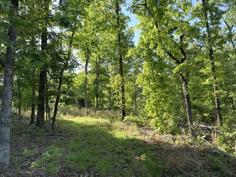 Property Photo:  260 Highway 63  AR 72459 