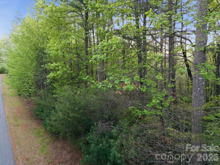 Property Photo:  Lot 40 Larkhaven Drive  NC 28761 