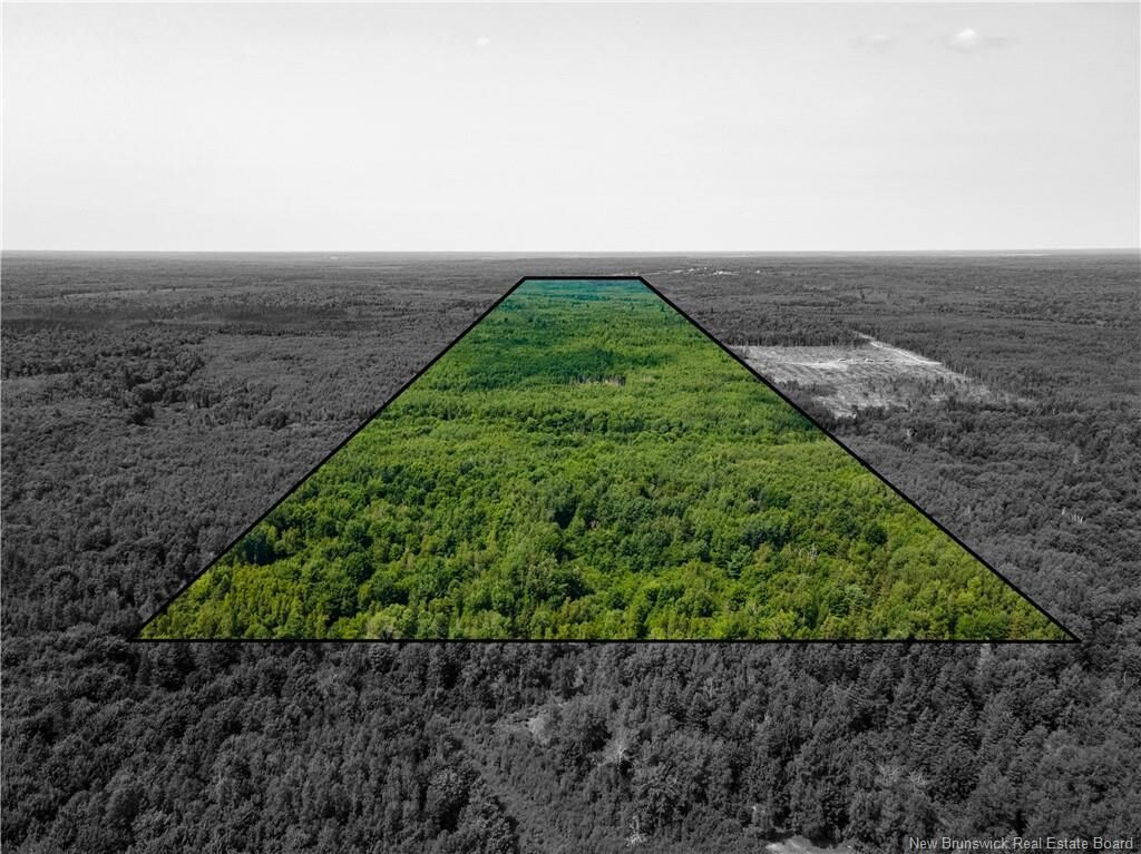 Property Photo: Lot 58 Alexandrina Road NB E4H 2H5