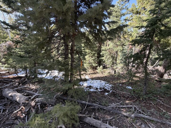 Property Photo:  1015 W Big Horn Cir  UT 84762 