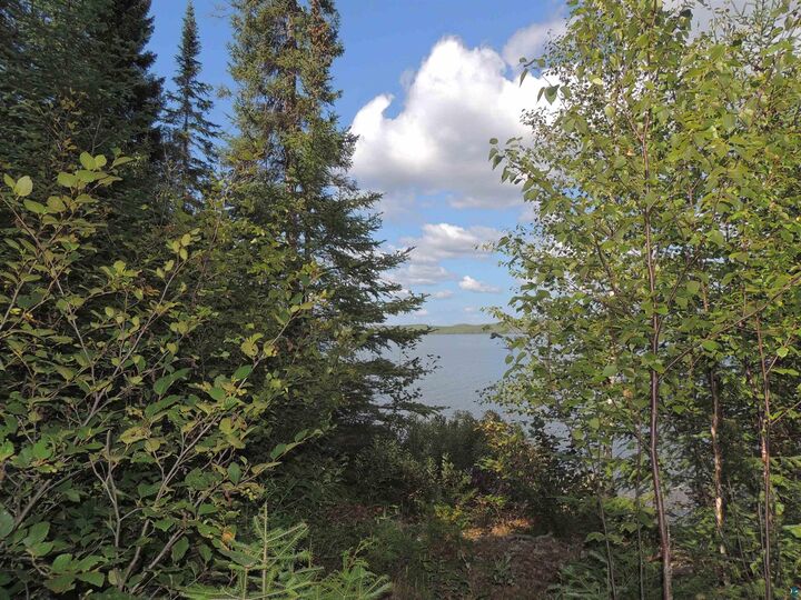 Property Photo:  463 S Gunflint Lake Rd  MN 55604 