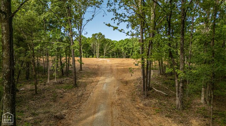Property Photo:  435 County Road 757  AR 72405 