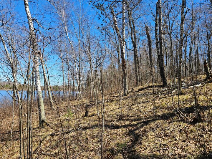 Property Photo:  Tbd Tract A Swanson Road  MN 56444 