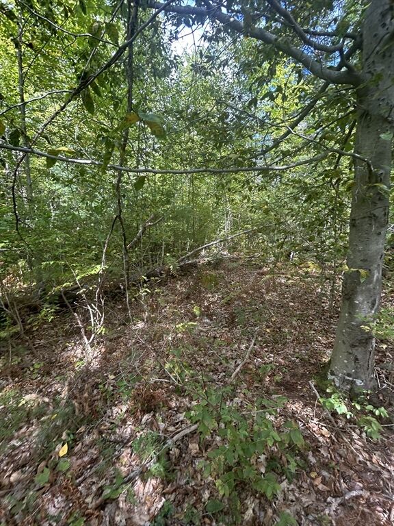 Property Photo:  531 Mason Rd  MA 01431 