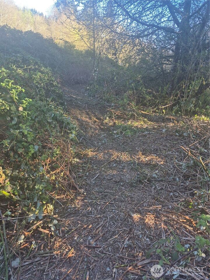 Property Photo:  28 Lot NE Sipes Lane  WA 98311 