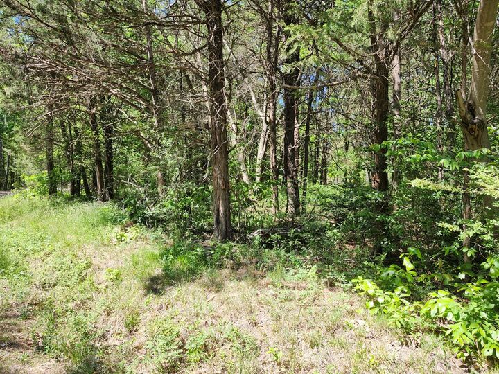 Property Photo:  0 Mill-Scott Road  VA 23901 