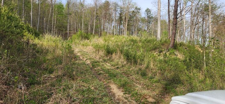 Property Photo:  Stinson Creek Road Lot 4  KY 41143 