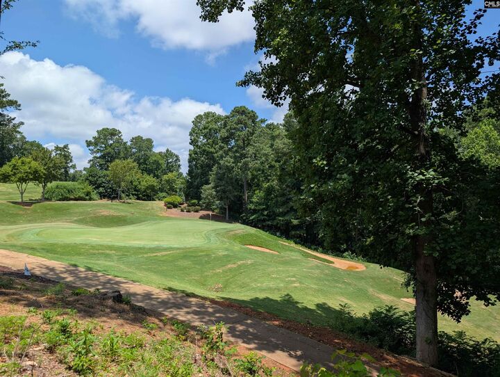 Property Photo:  1060 Coogler Crossing  SC 29016 