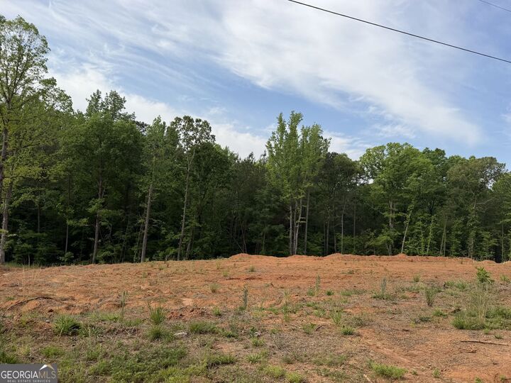 Property Photo: 1492 English Road GA 31029