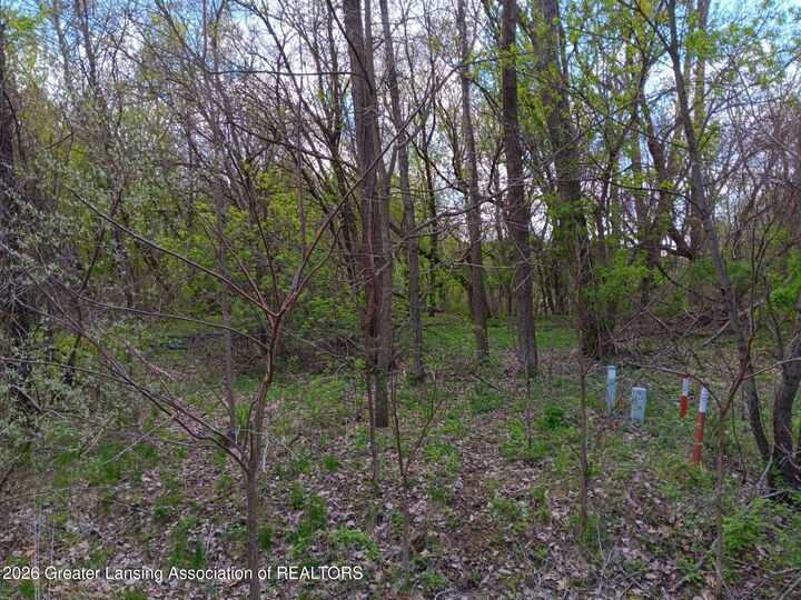 Property Photo:  343 Dolores Drive  MI 49272 