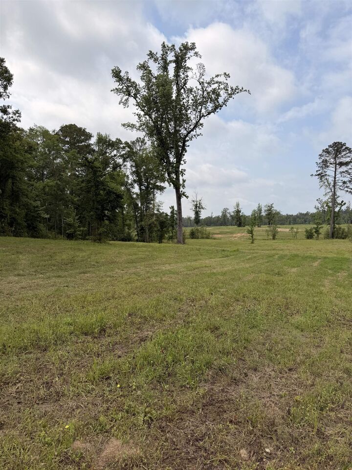 Property Photo:  Tbd State Highway 154  TX 75640 