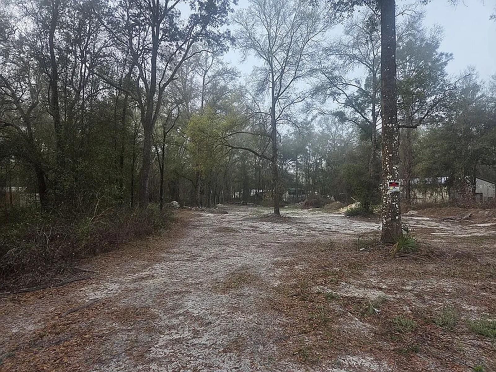 Property Photo:  SW 156th Place  FL 34432 