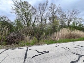 Property Photo:  17W246 Red Oak Street  IL 60106 