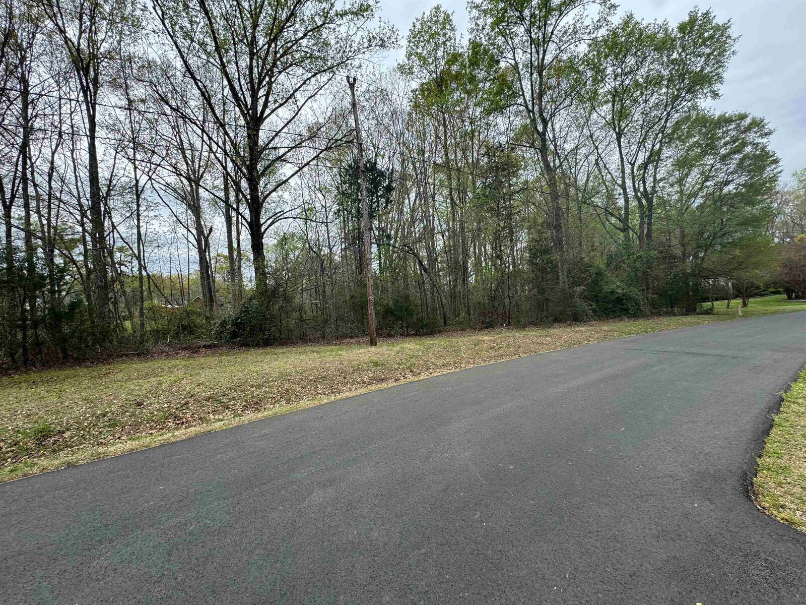 Property Photo:  0 Cedar Circle ***  SC 29323 