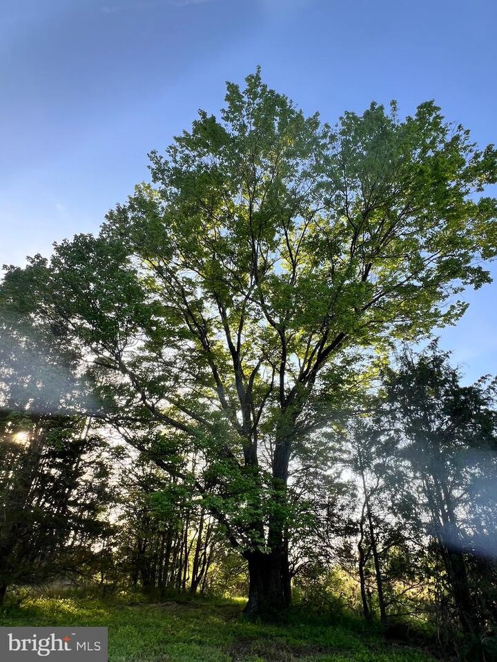 Property Photo:  13109 Thornton  VA 20155 