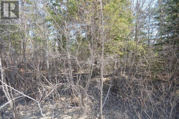 Property Photo:  00 Behm Line  ON K0J 1K0 