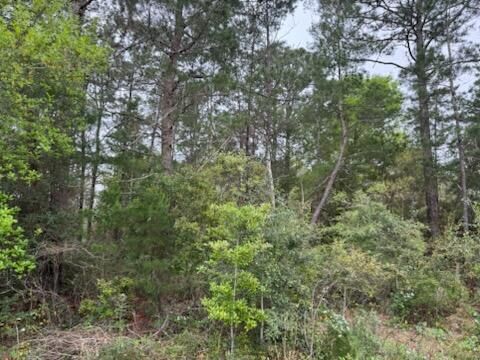 Property Photo:  7117 Snug Waters Road  FL 32566 