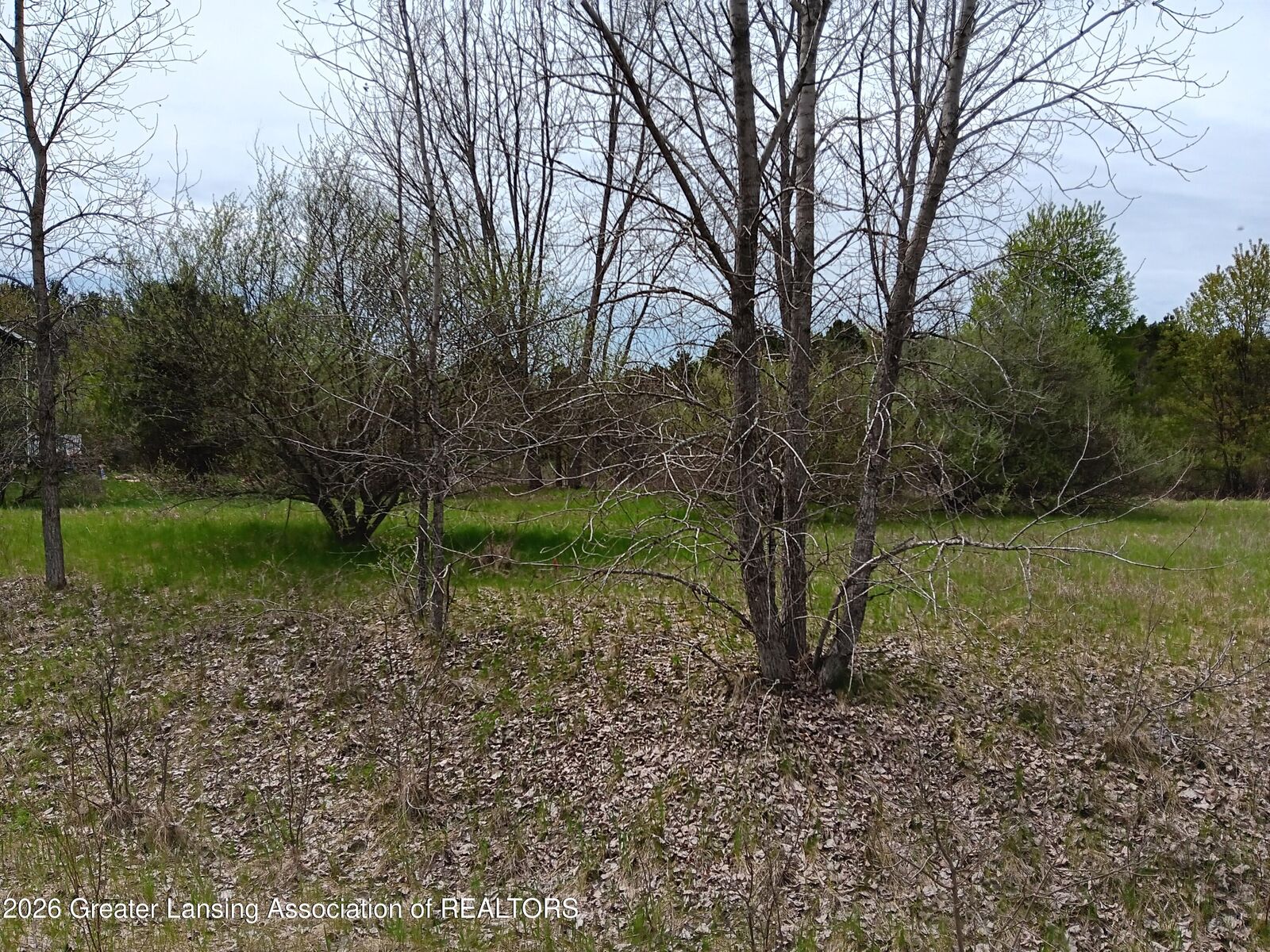 Property Photo:  38 Bennington Greens Drive  MI 48867 