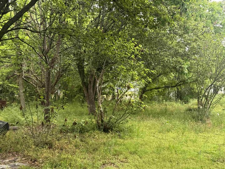 Property Photo:  186 County Road 3590  TX 75954 