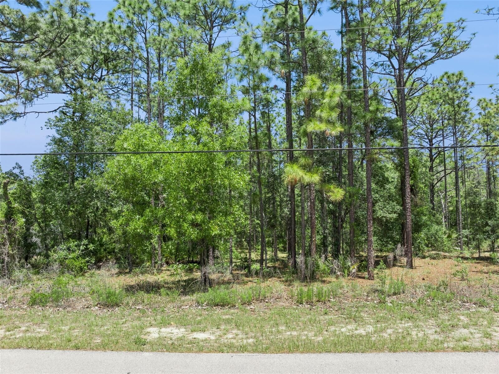 Property Photo:  1797 W Union Street  FL 34442 