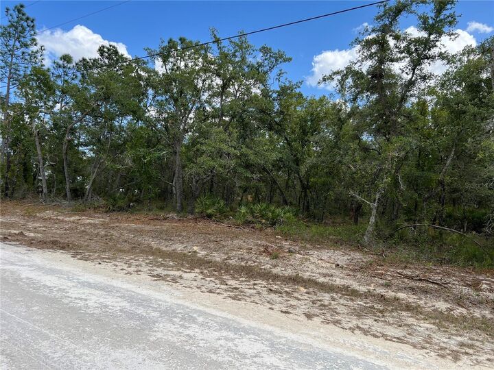 Property Photo:  Sage Thrasher Ave  FL 34614 