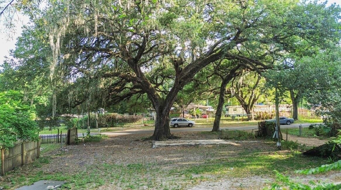 Property Photo:  38319 Stebbins Avenue  FL 33542 