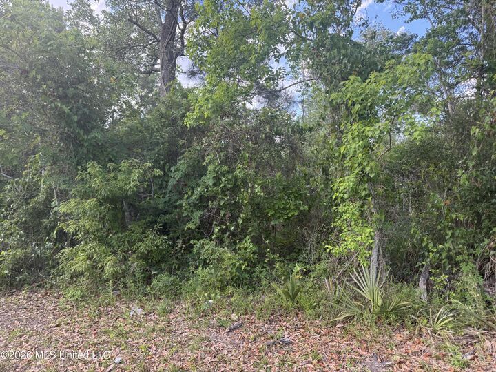 Property Photo:  221 Julia Street  MS 39520 