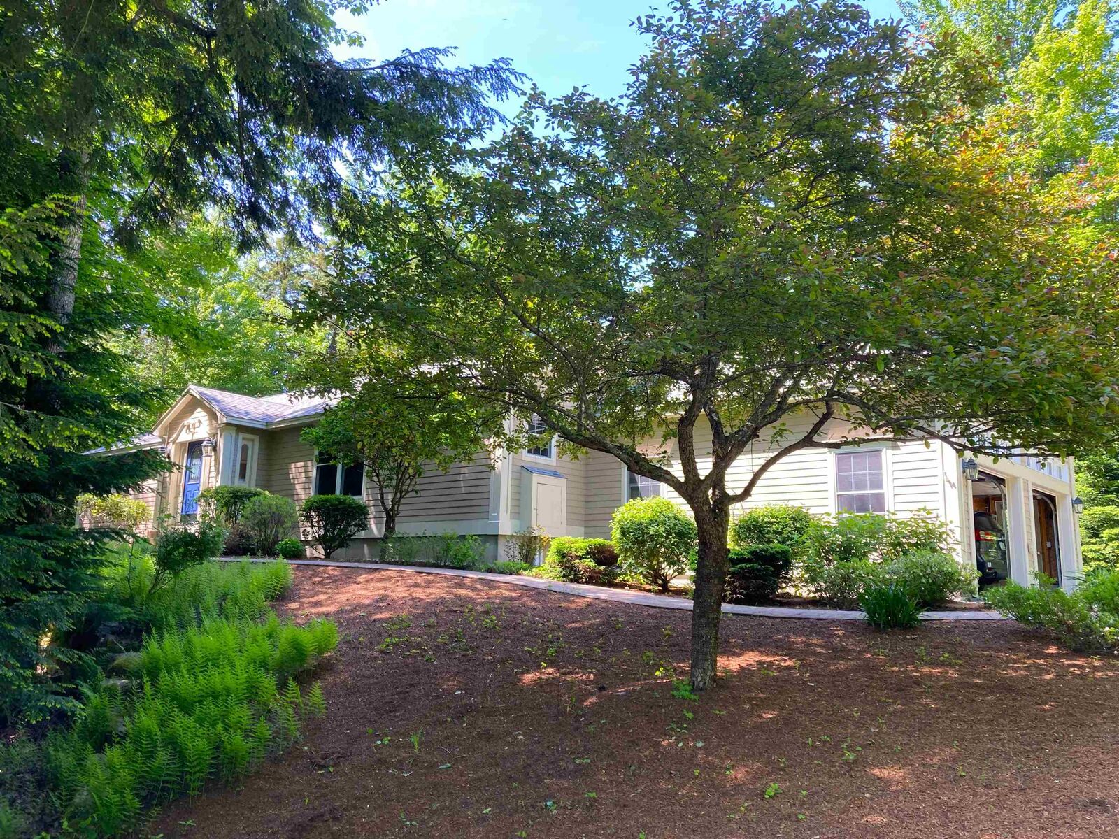 Property Photo:  56 Glenwood Drive  NH 03284 