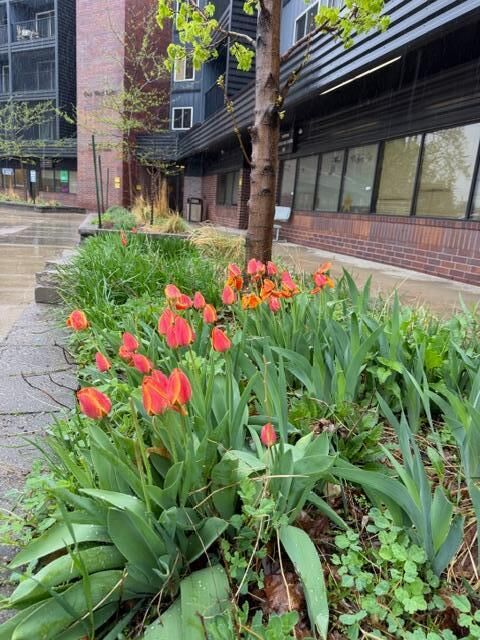 Property Photo:  1 W Lake Street 420  MN 55408 