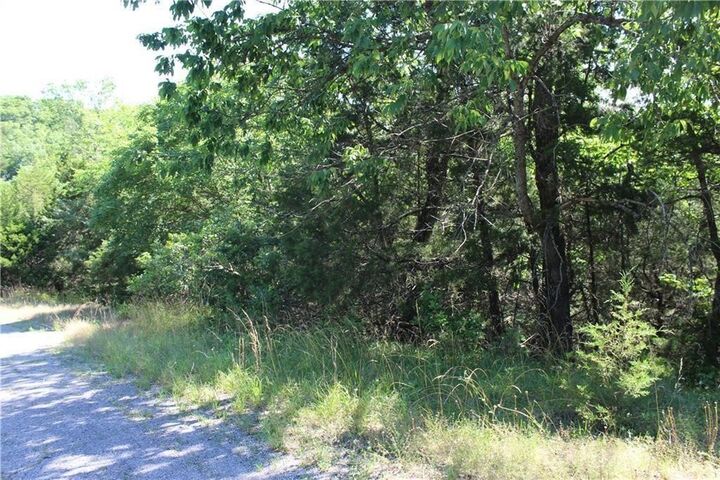 Property Photo:  4 Beaver Circle  AR 72631 