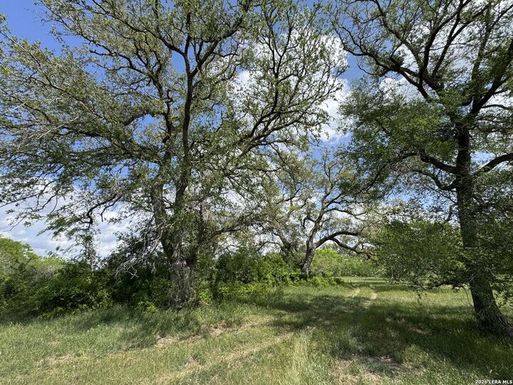 Property Photo: 1110 Hartfield Road TX 78155