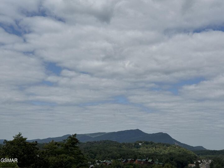 Property Photo:  410 Big Bear Way  TN 37863 