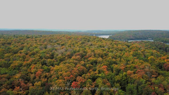 00 South Horn Lake Road — photo 1