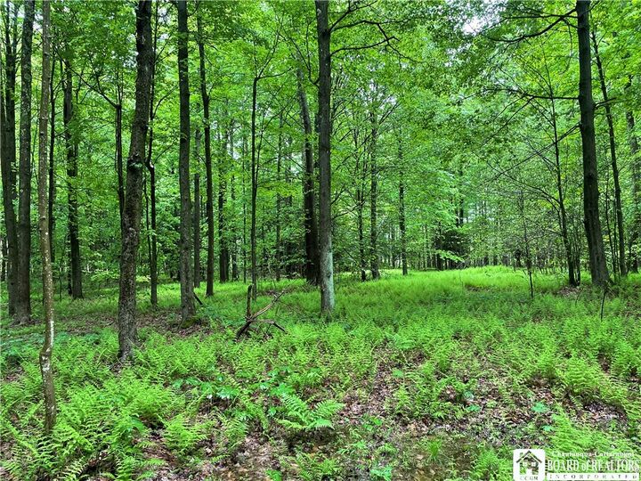 Property Photo:  0 Walker Road  NY 14712 